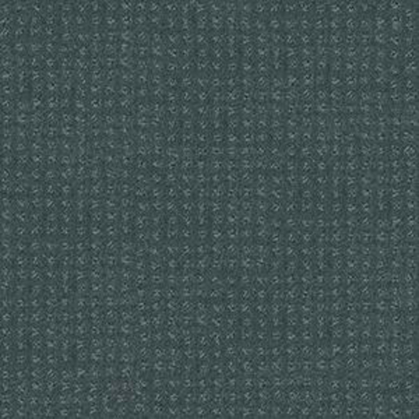 PERPETUAL MOVE in Oceanside Carpet