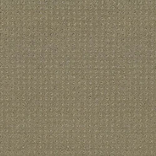 ALLURING DISPOSITION in Mocha