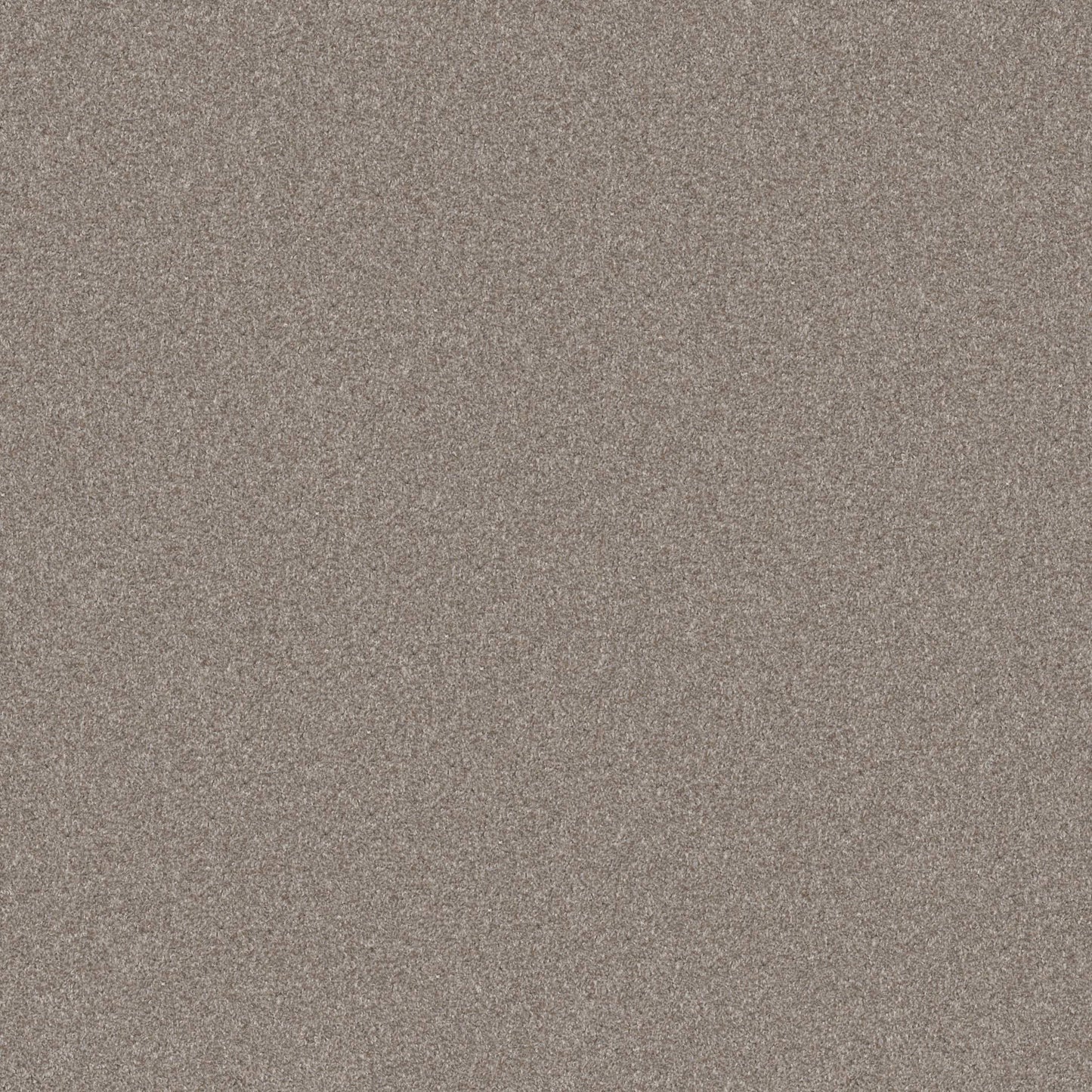 ALL OVER IT I in London Fog Carpet