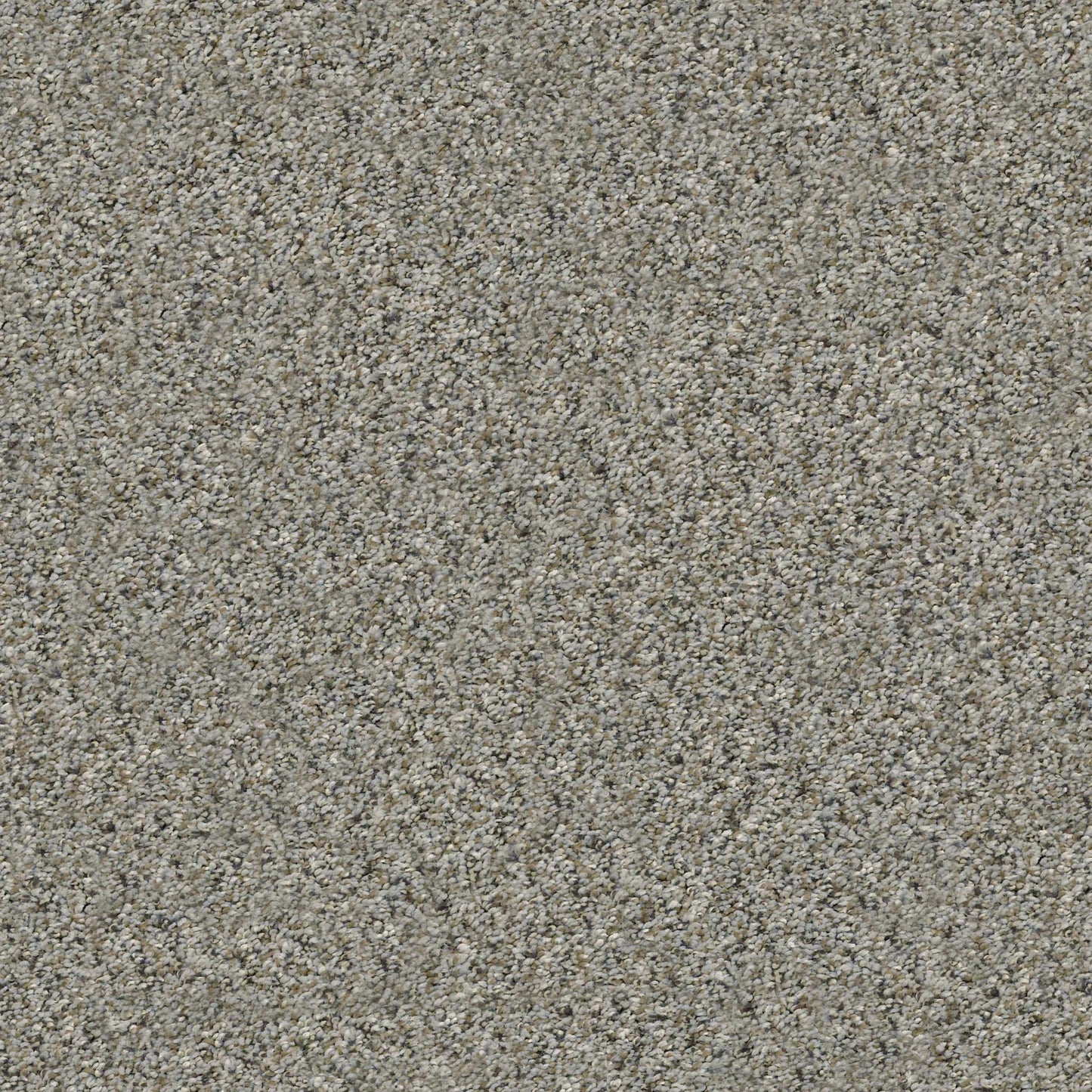 ALL SET I in Rhino Carpet