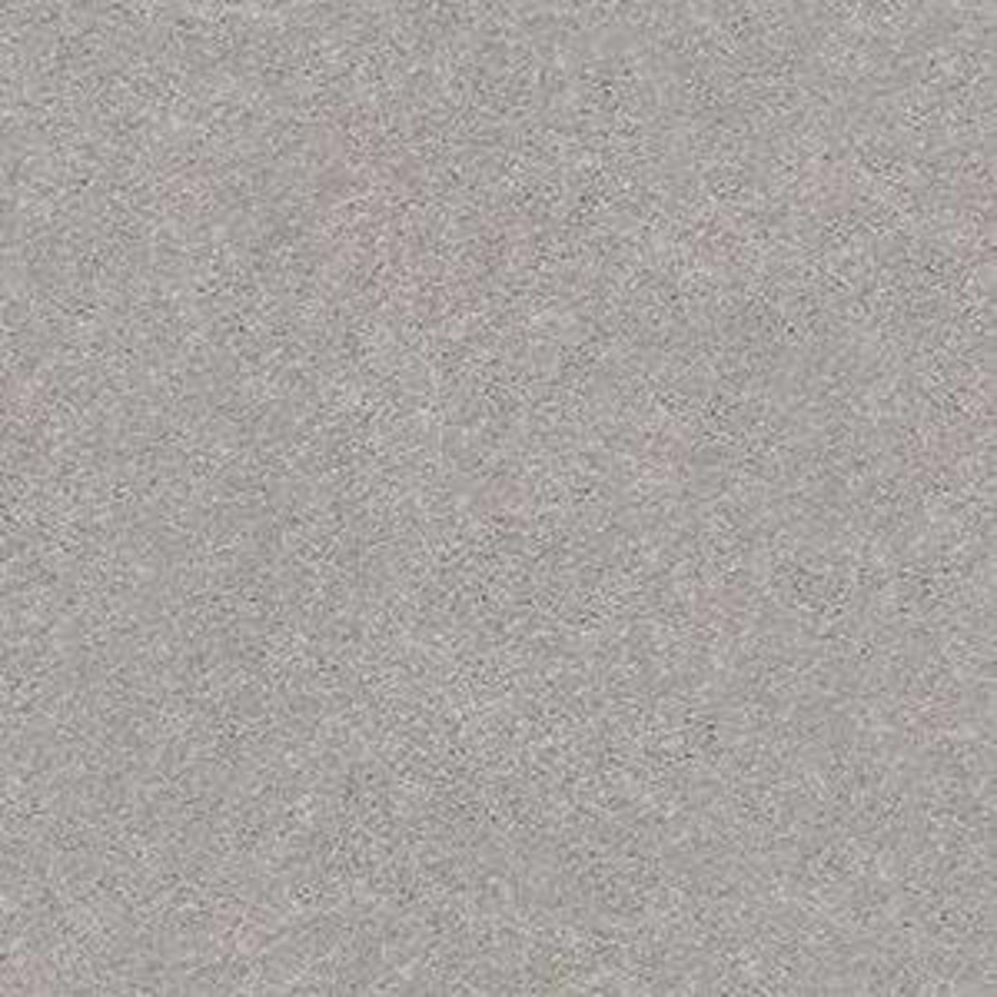 MOMENTUM I in Subtle Touch Carpet