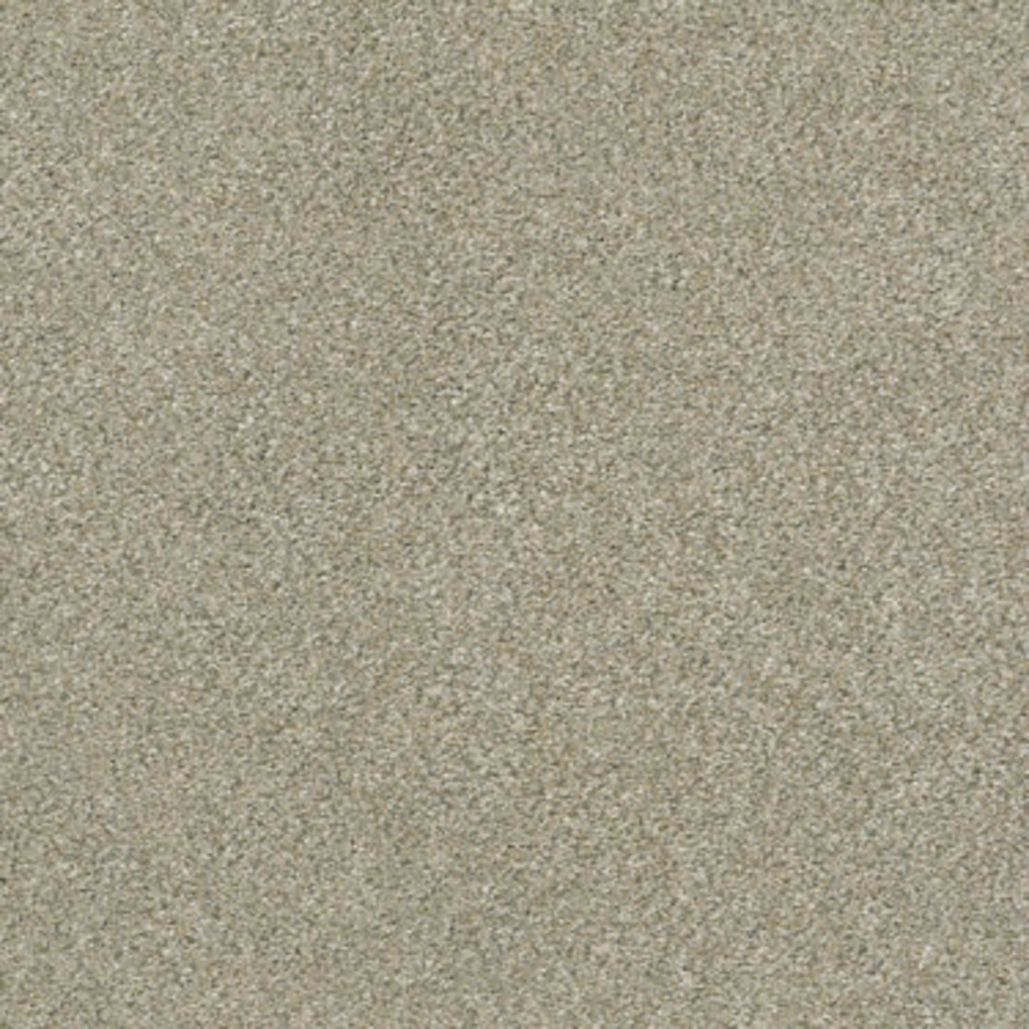 MOMENTUM II