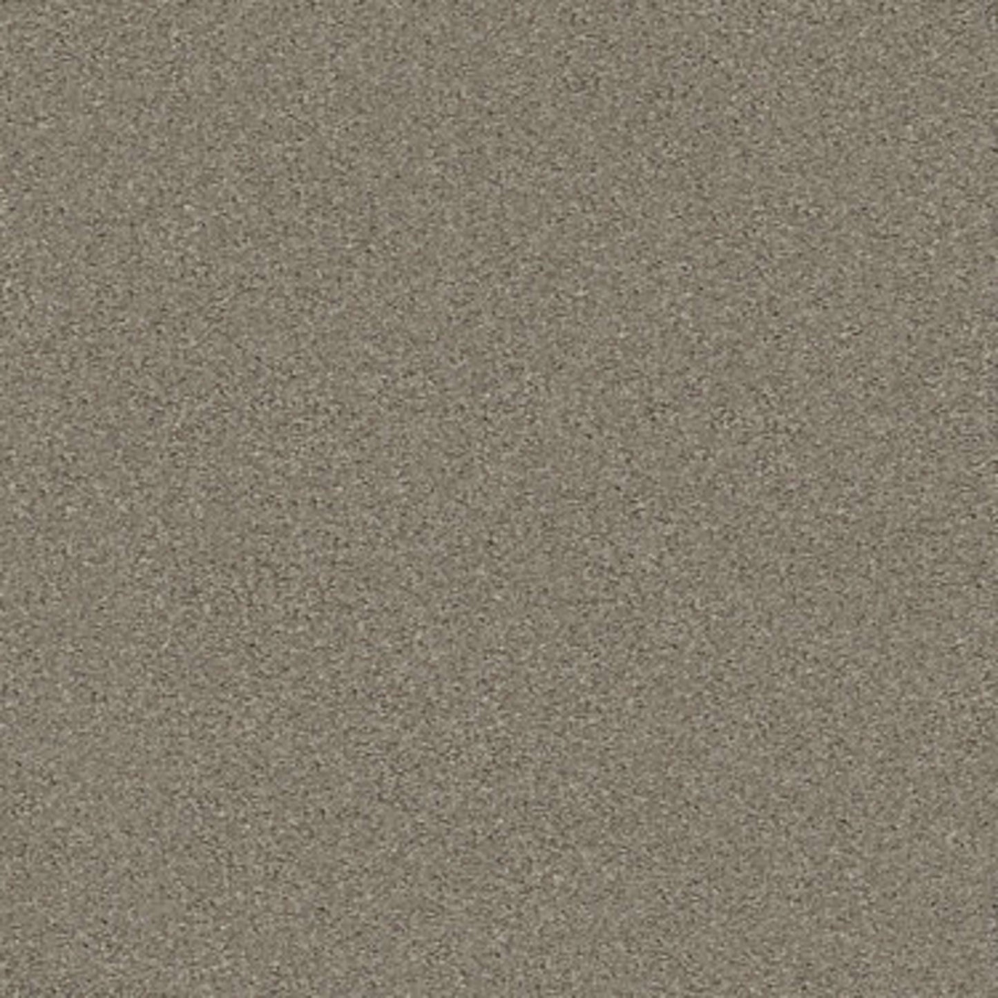 MOMENTUM II