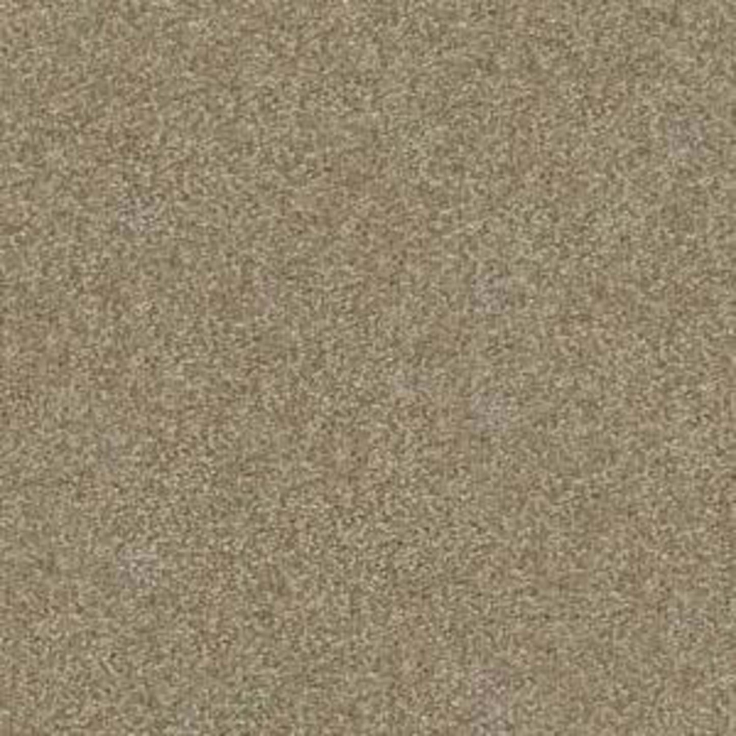 Shingle Creek III 12' in Chinchilla Carpet