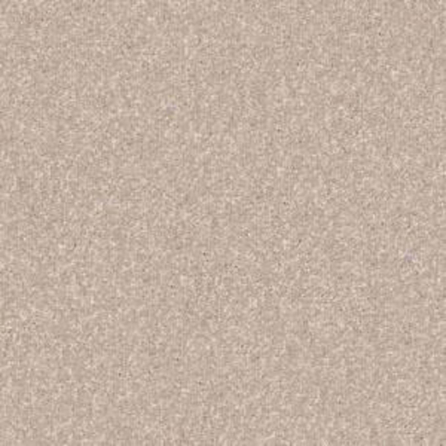 Look Forward in French Canvas Carpet