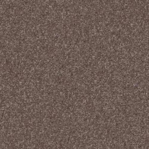 Look Forward in Rustic Taupe