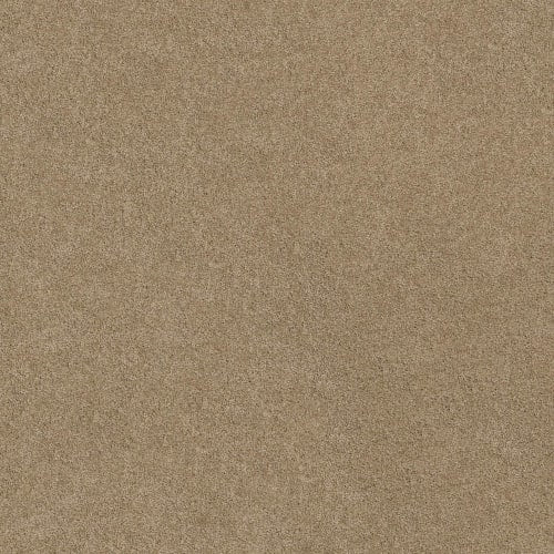 SOURCE II in Almond Tone