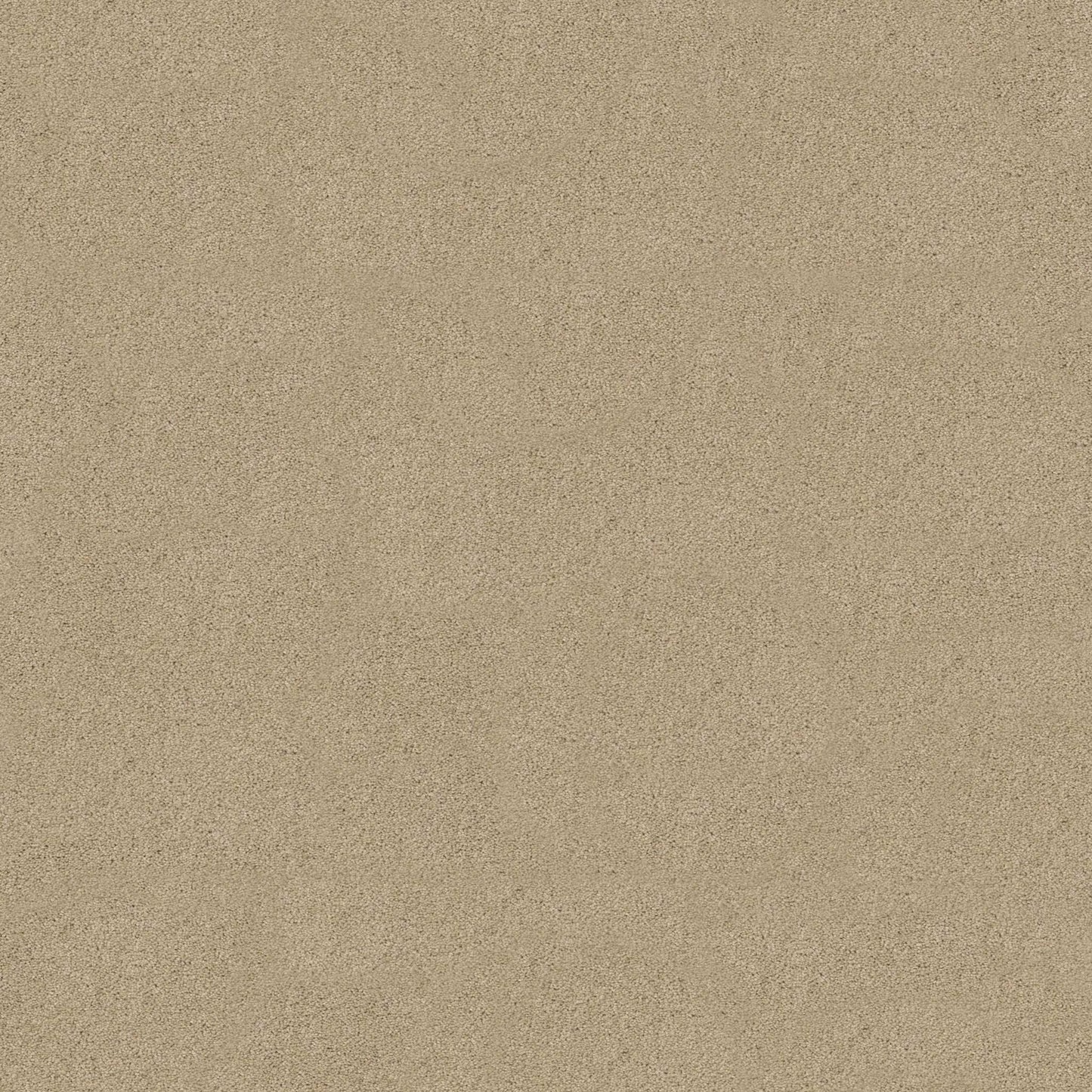 SOURCE II
