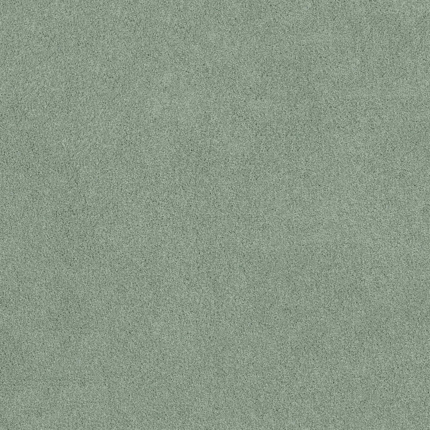 SOURCE II