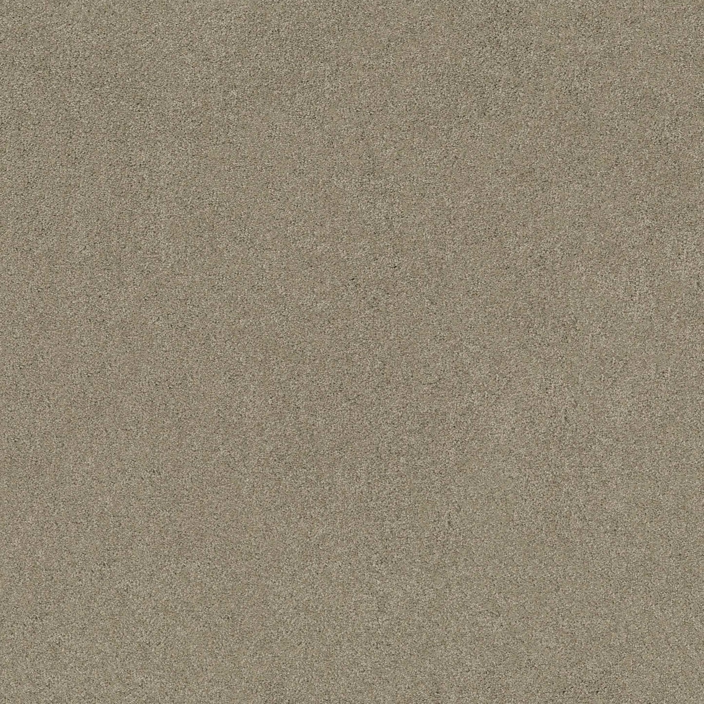 SOURCE II