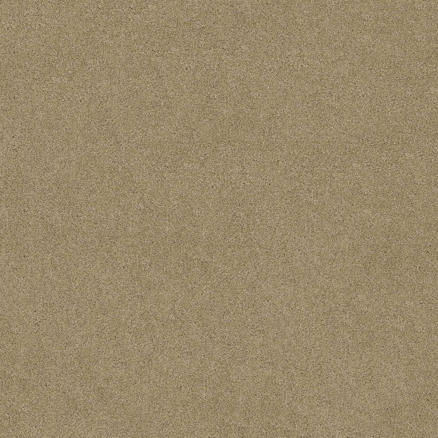 SOURCE II