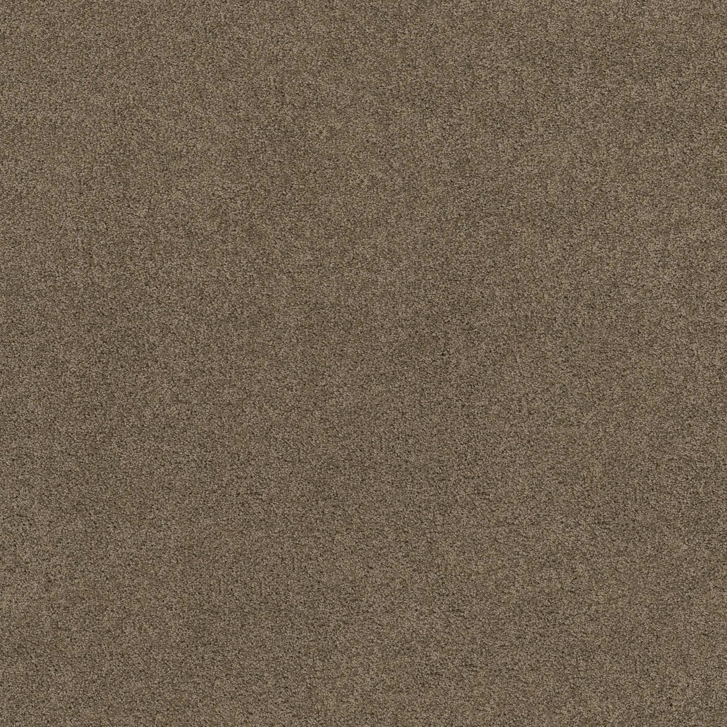 SOURCE II