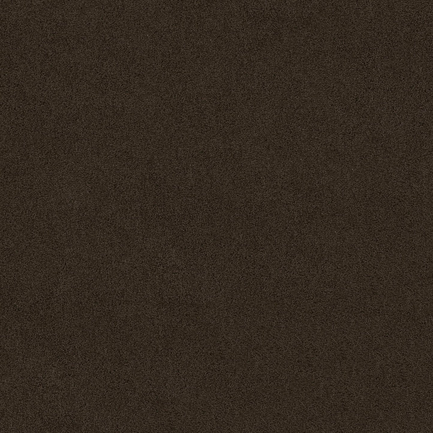 SOURCE II