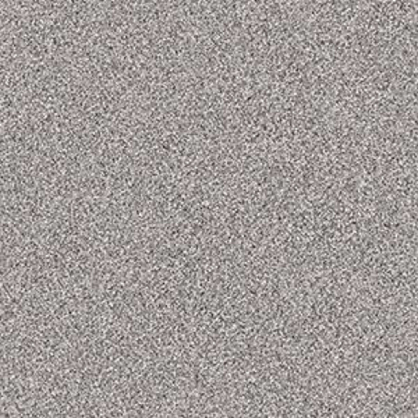 EXPLORATION in Castle Stone Carpet