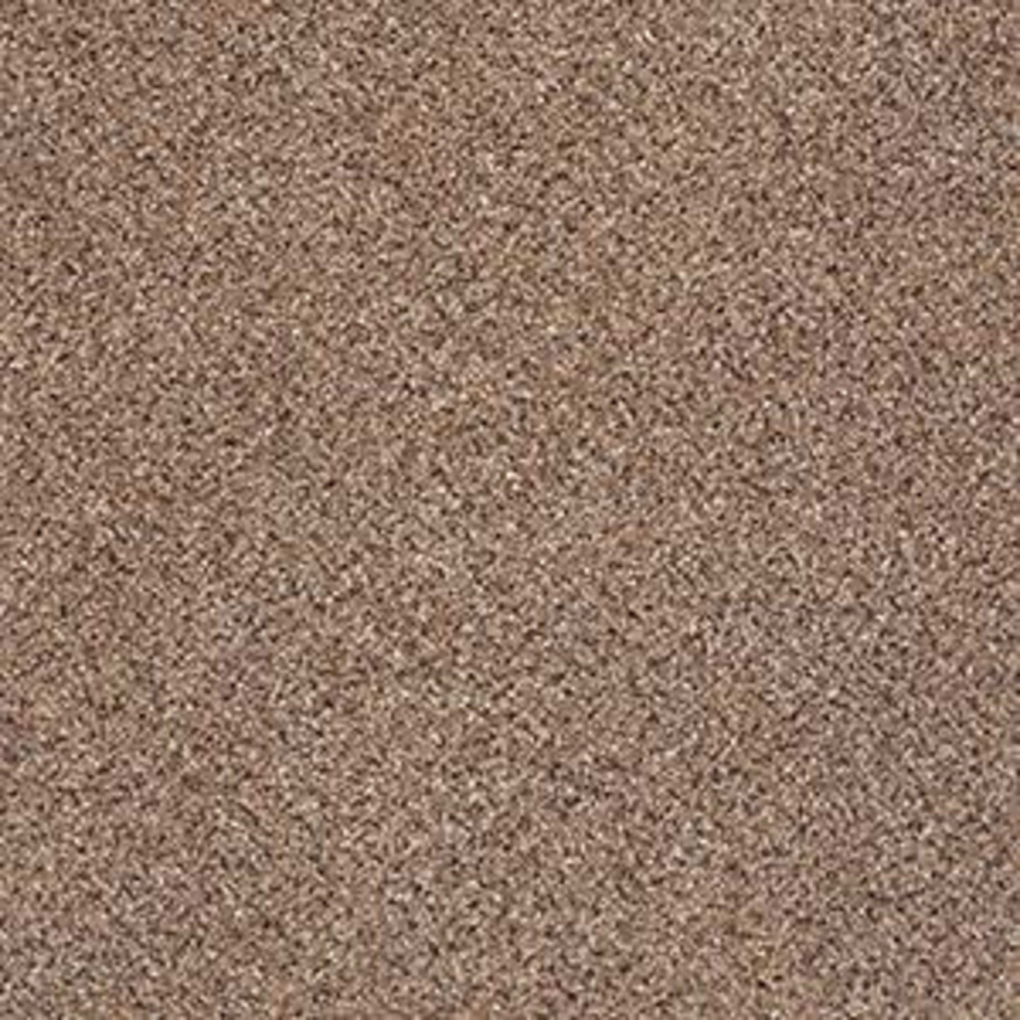 PLATINUM TEXTURE ACCENTS in Pegasus Carpet
