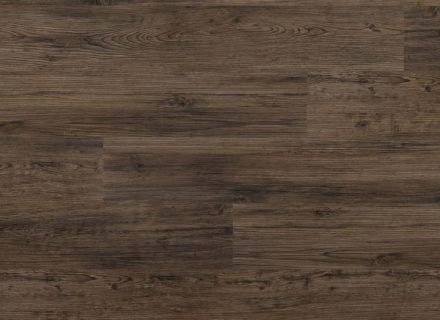 Structure Wide Plank in Kayla