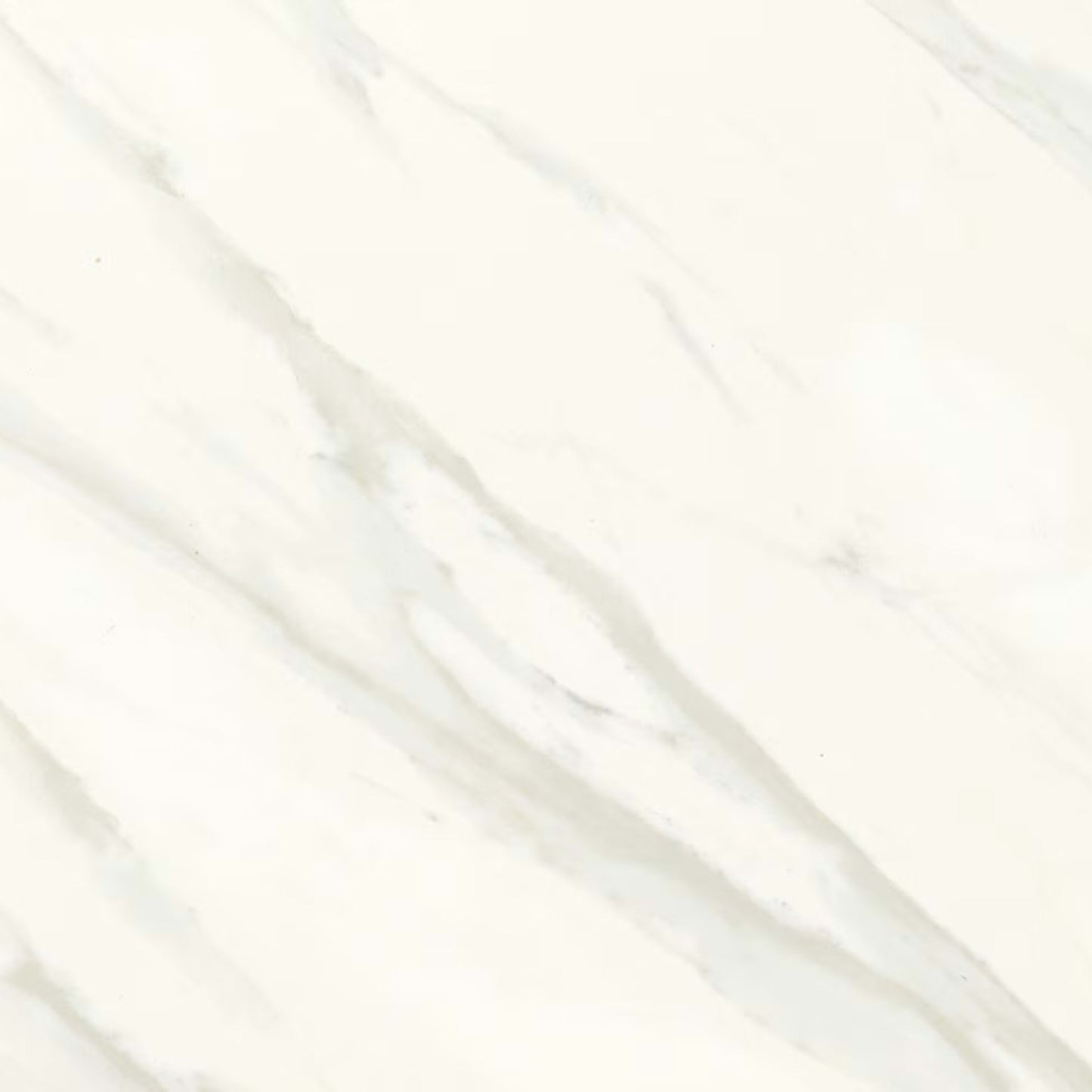 Florentine in Carrara 12x24 Tile