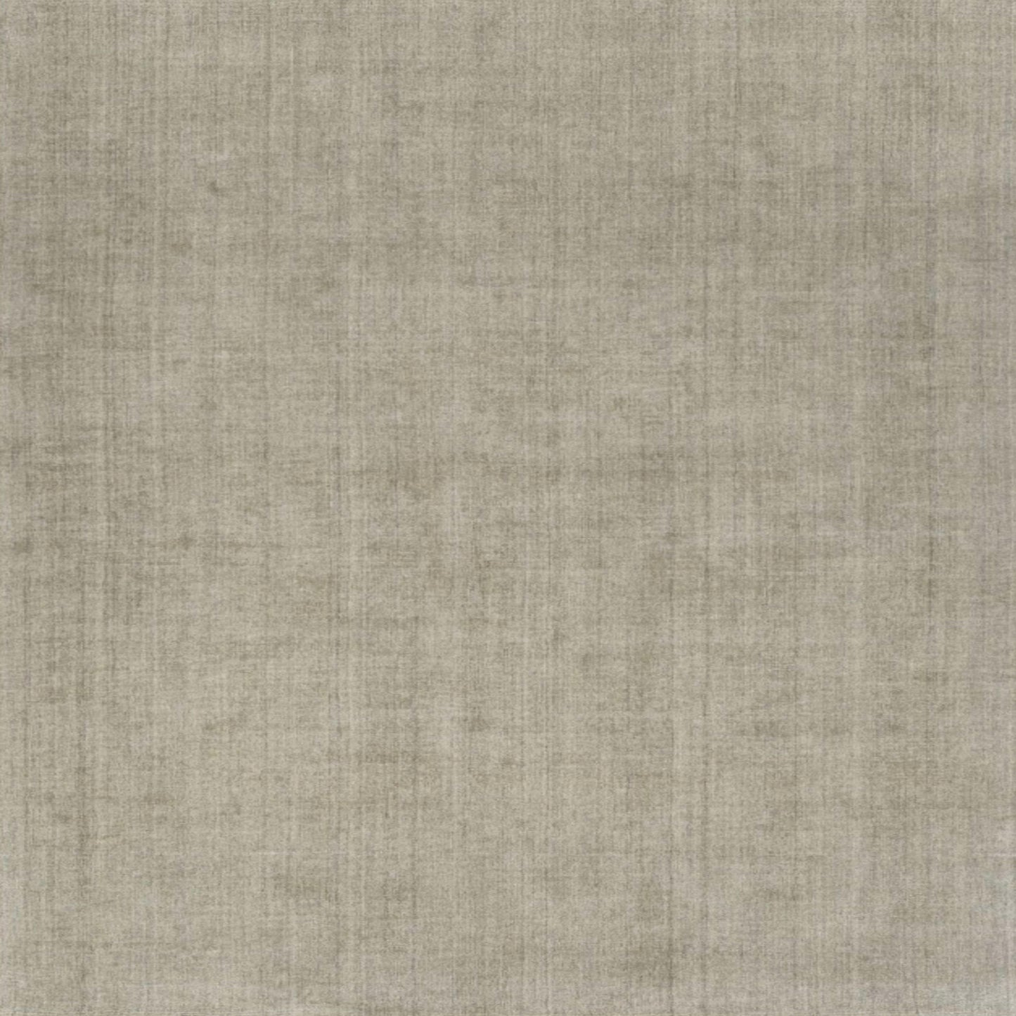 Divinity Fossil in Fossil Area Rugs
