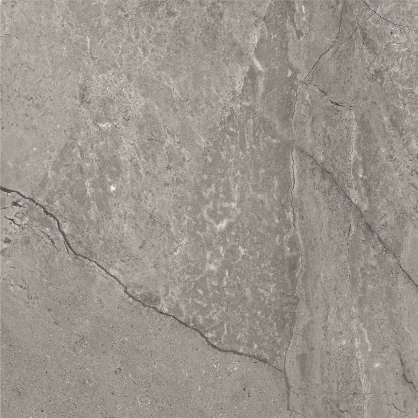 Chadwick in Dark Gray 18"x18" Tile