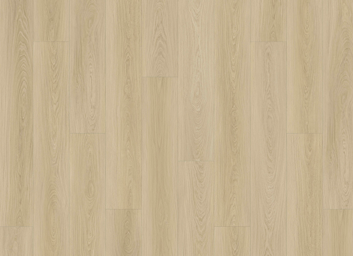 Courtier in Ghent Oak