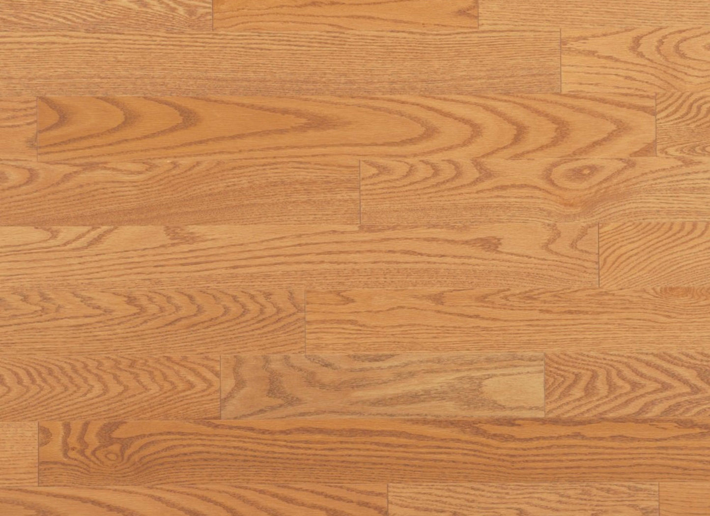 Admiration Engineered - Red Oak in Golden - 4 1/4" Smooth