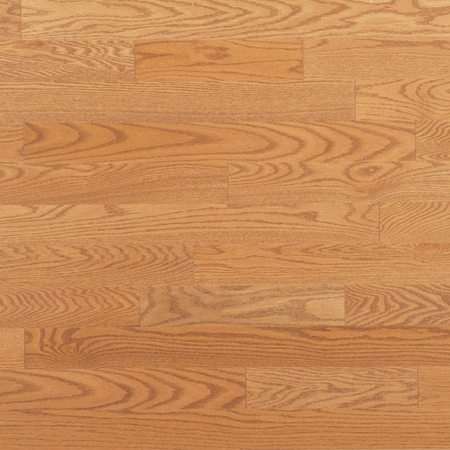 Admiration Engineered - Red Oak in Golden - 4 1/4" Smooth Hardwood