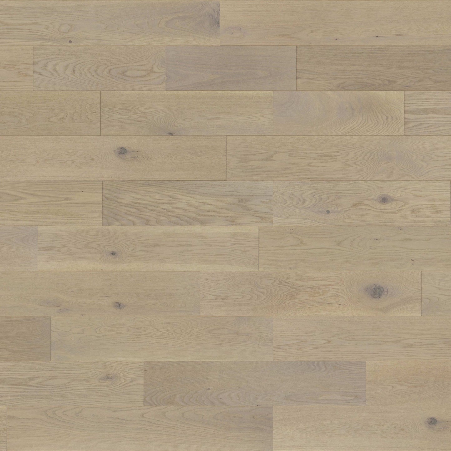 Muse - White Oak in Grace 5'' Hardwood