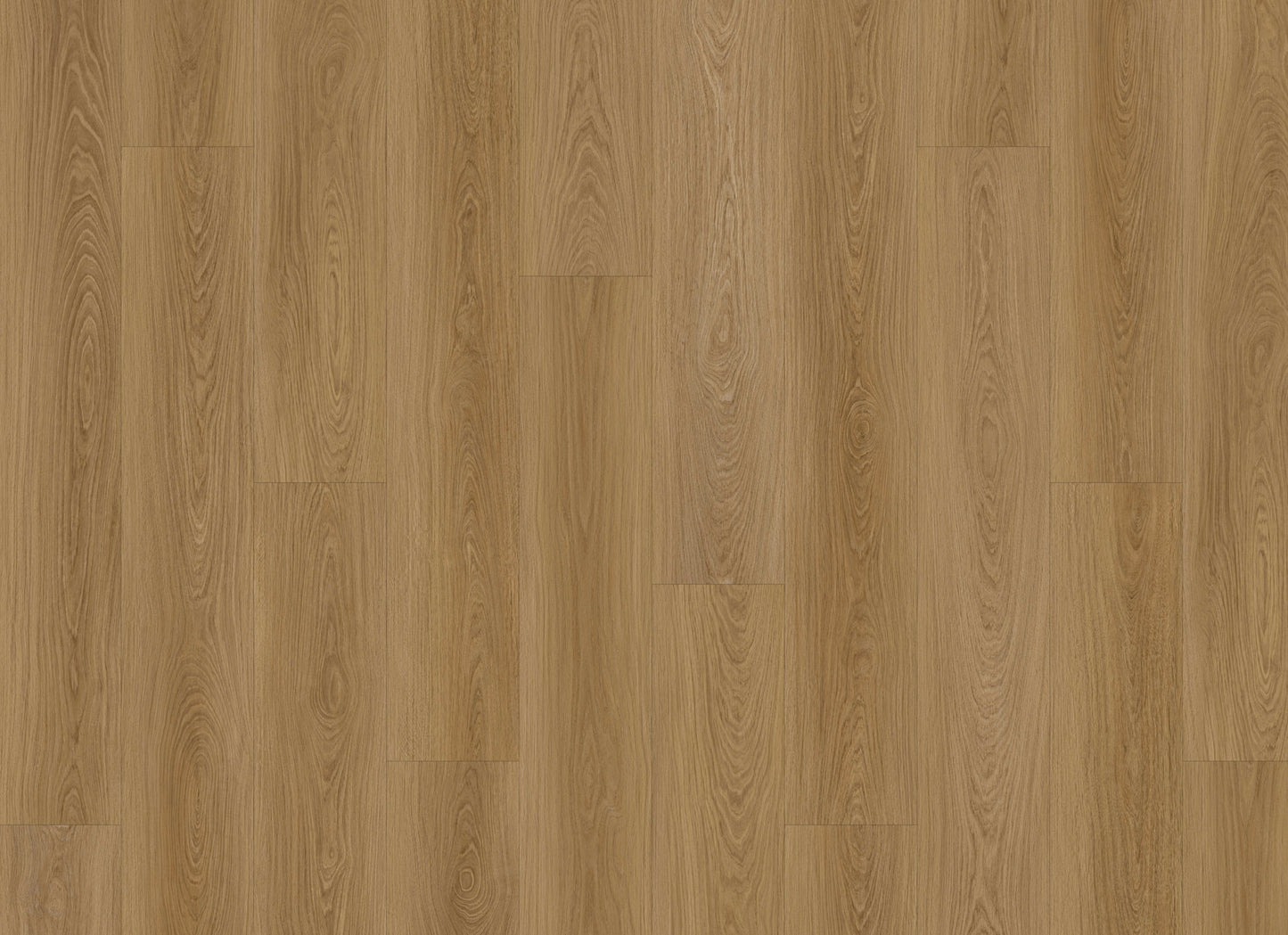 Courtier in Griffith Oak