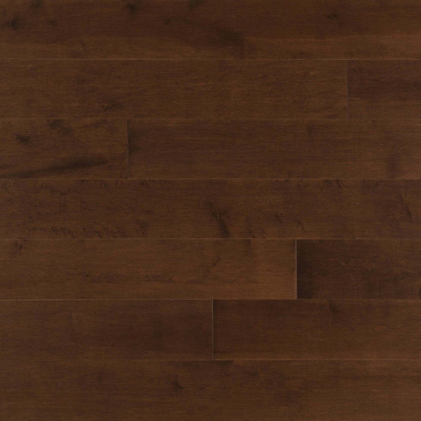 Admiration Engineered - Maple in Havana - 6" Hardwood