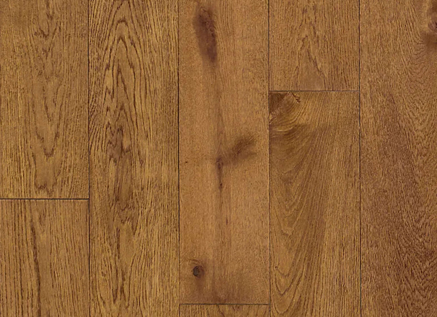 Latitude Collection - Prospect Park in Amber
