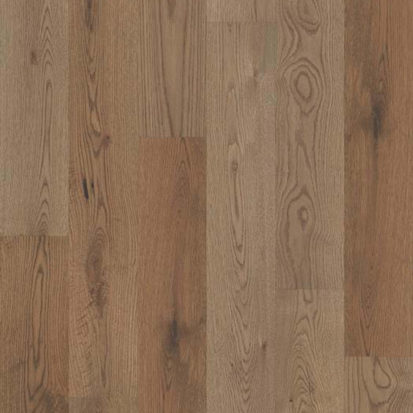 IMPRESSIONS WHITE OAK in Woodlands Hardwood