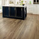 IMPRESSIONS WHITE OAK in Woodlands