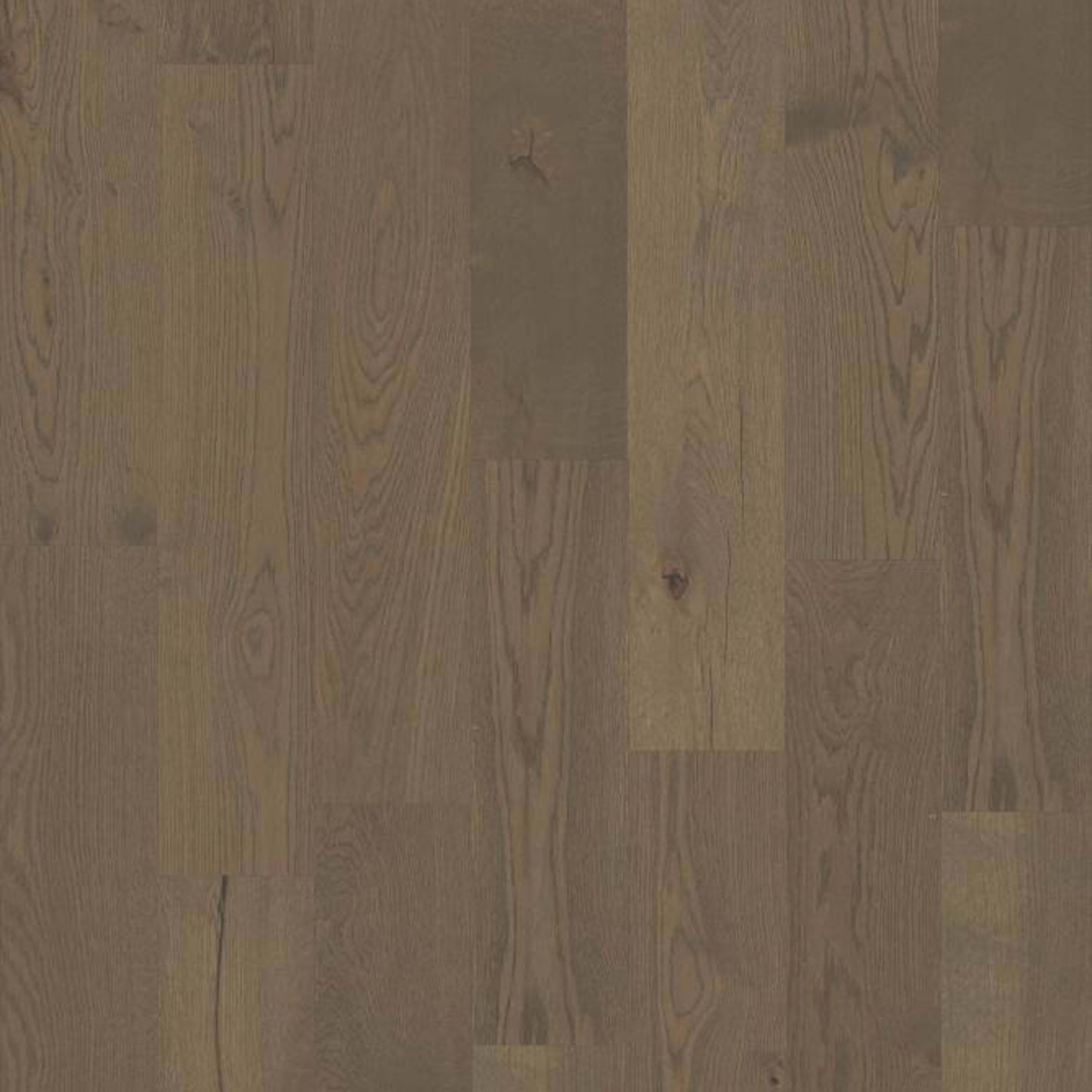 ELEGANCE OAK in Praline Hardwood