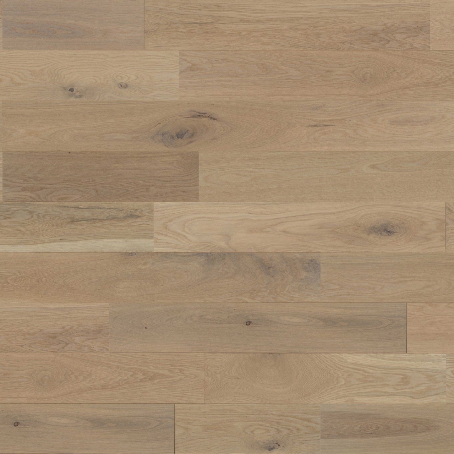 Muse - White Oak in Ingrid 7'' Hardwood