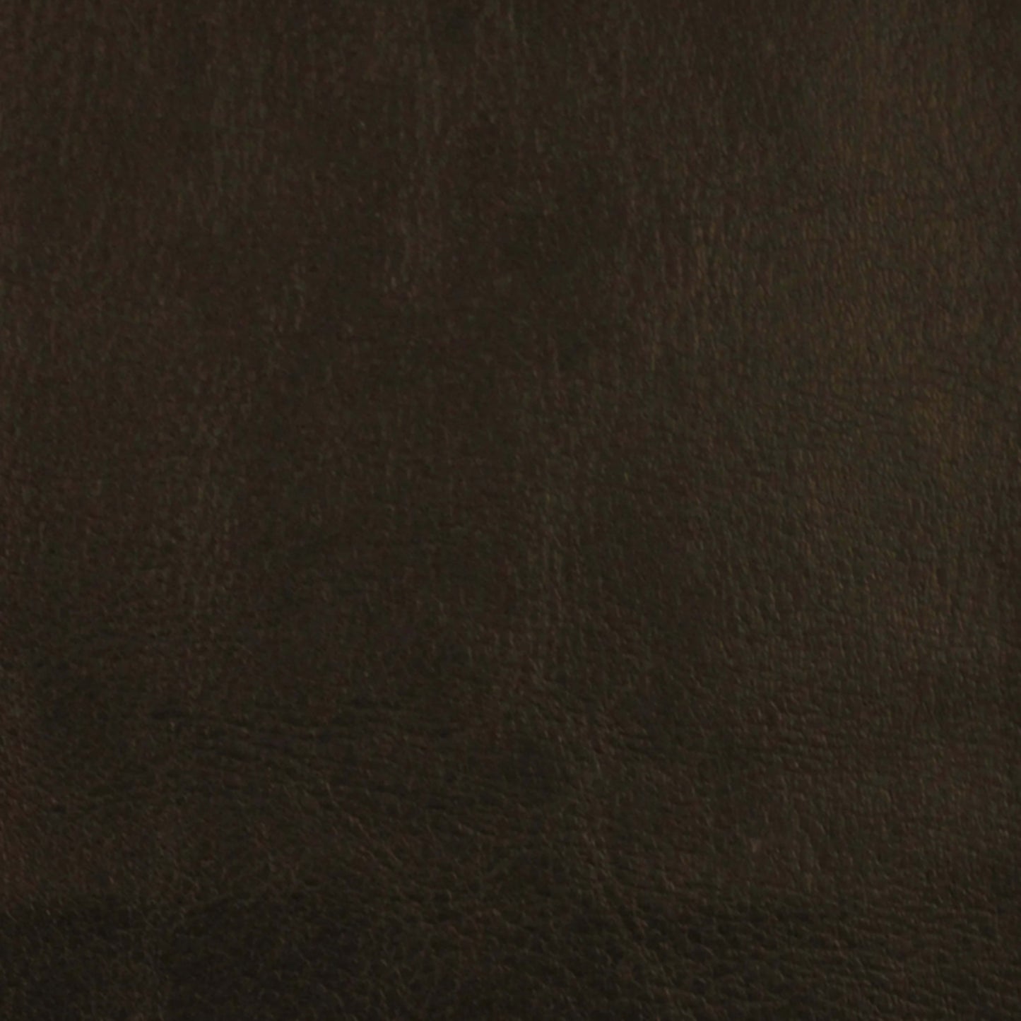 Leather Essence