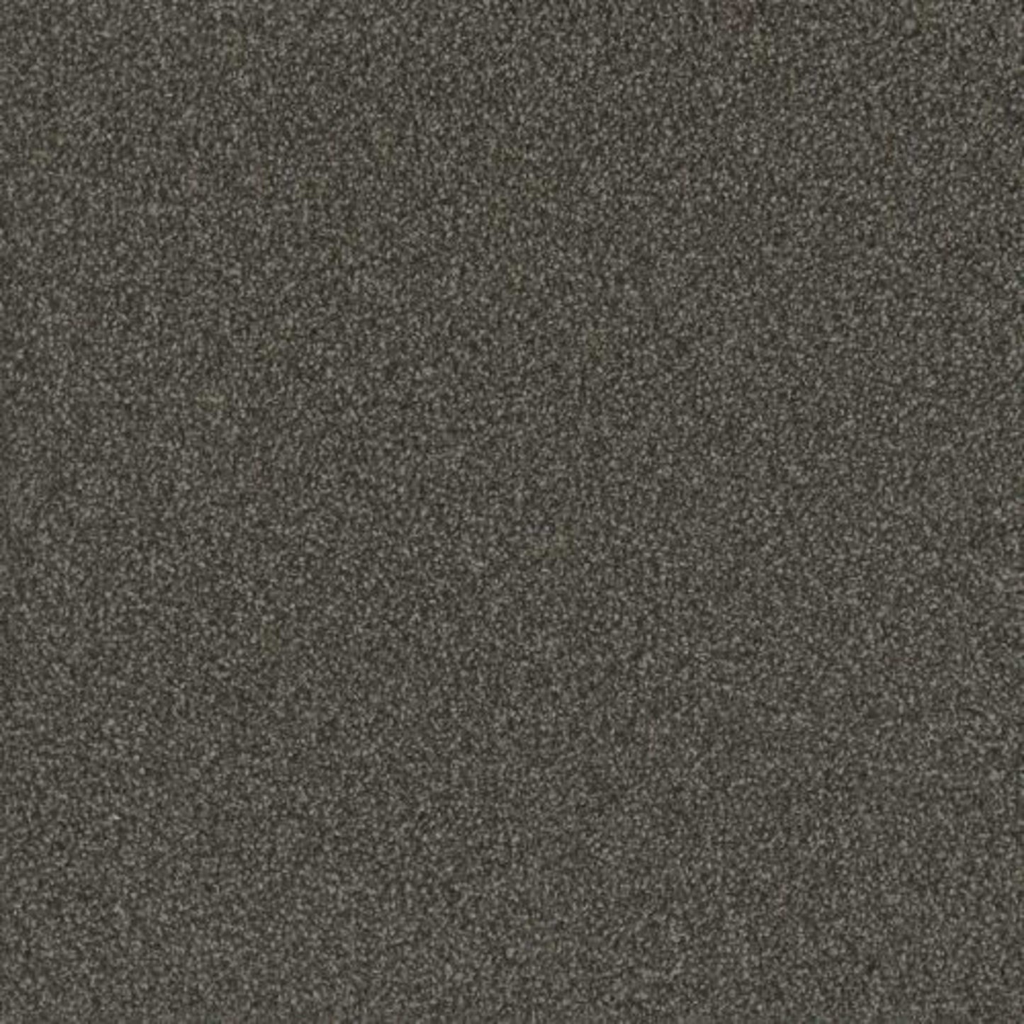 No Limits I in Magnetic Carpet