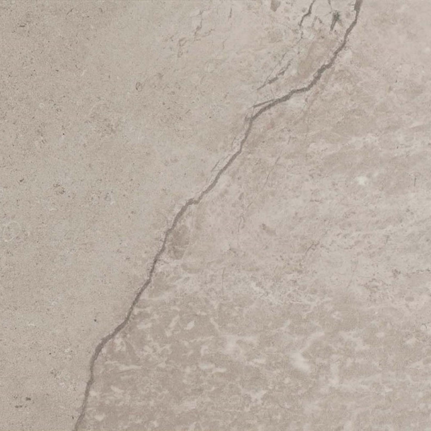 Chadwick in Light Gray 12"x24" Tile
