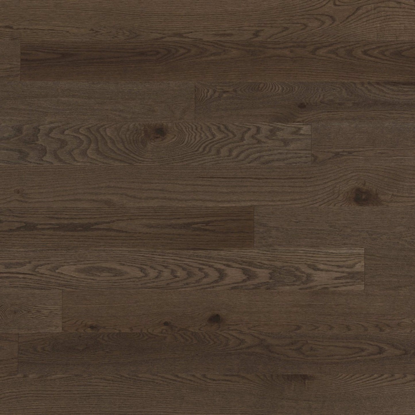 Escape Engineered - Red Oak in New Haven - 4" Hardwood