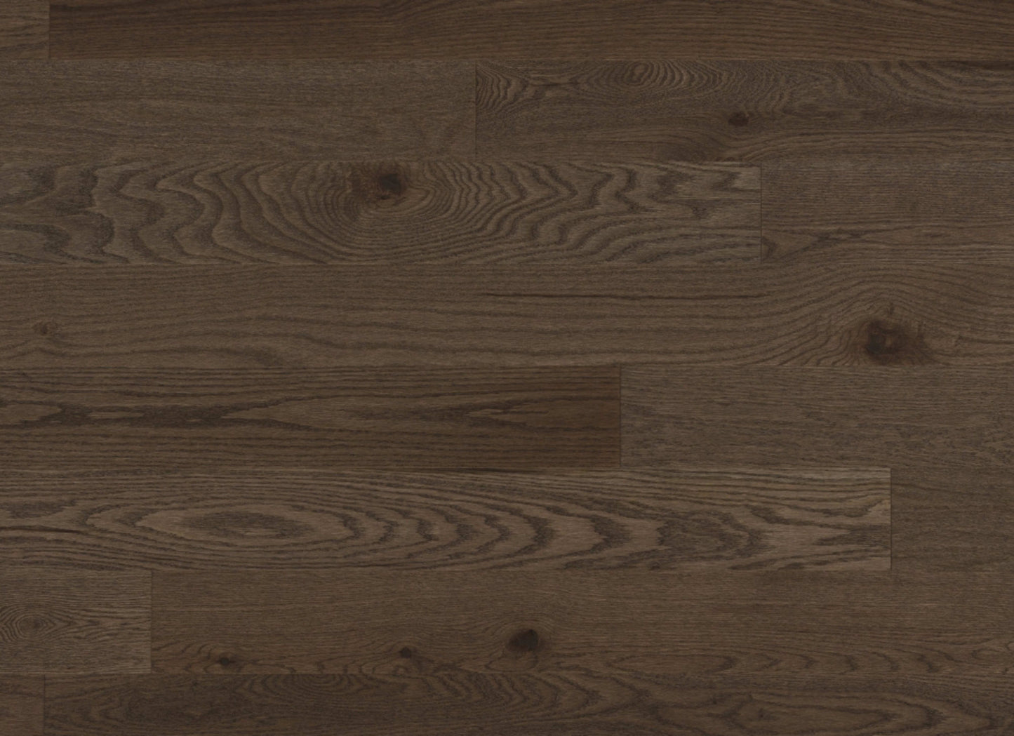 Escape Engineered - Red Oak in New Haven - 5"