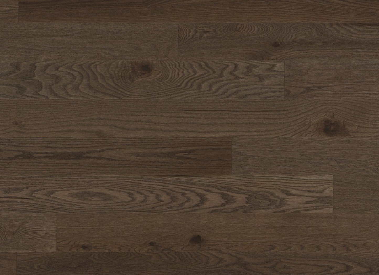 Escape Engineered - Red Oak in New Haven - 4"