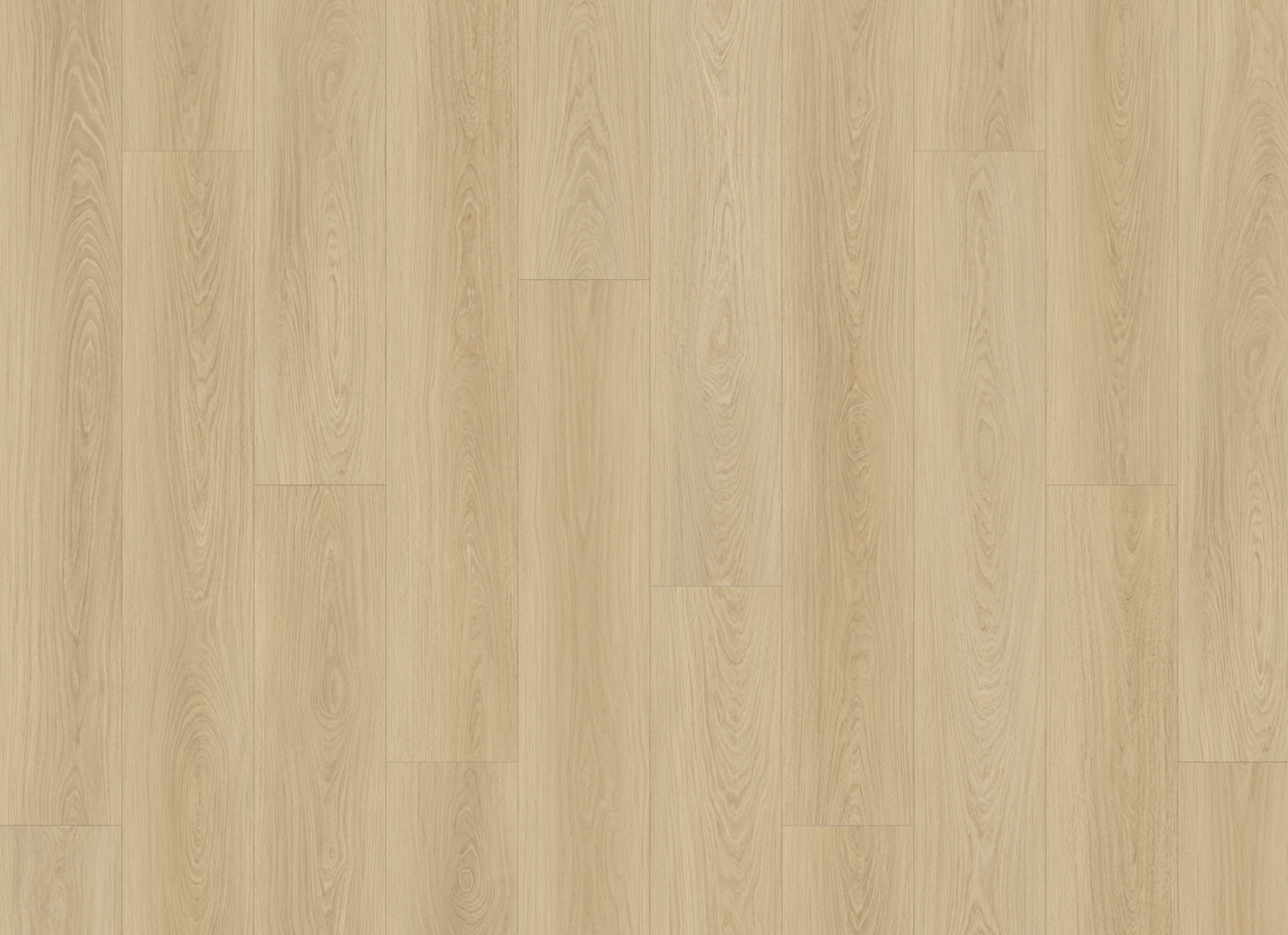 Courtier in Nightcastle Oak