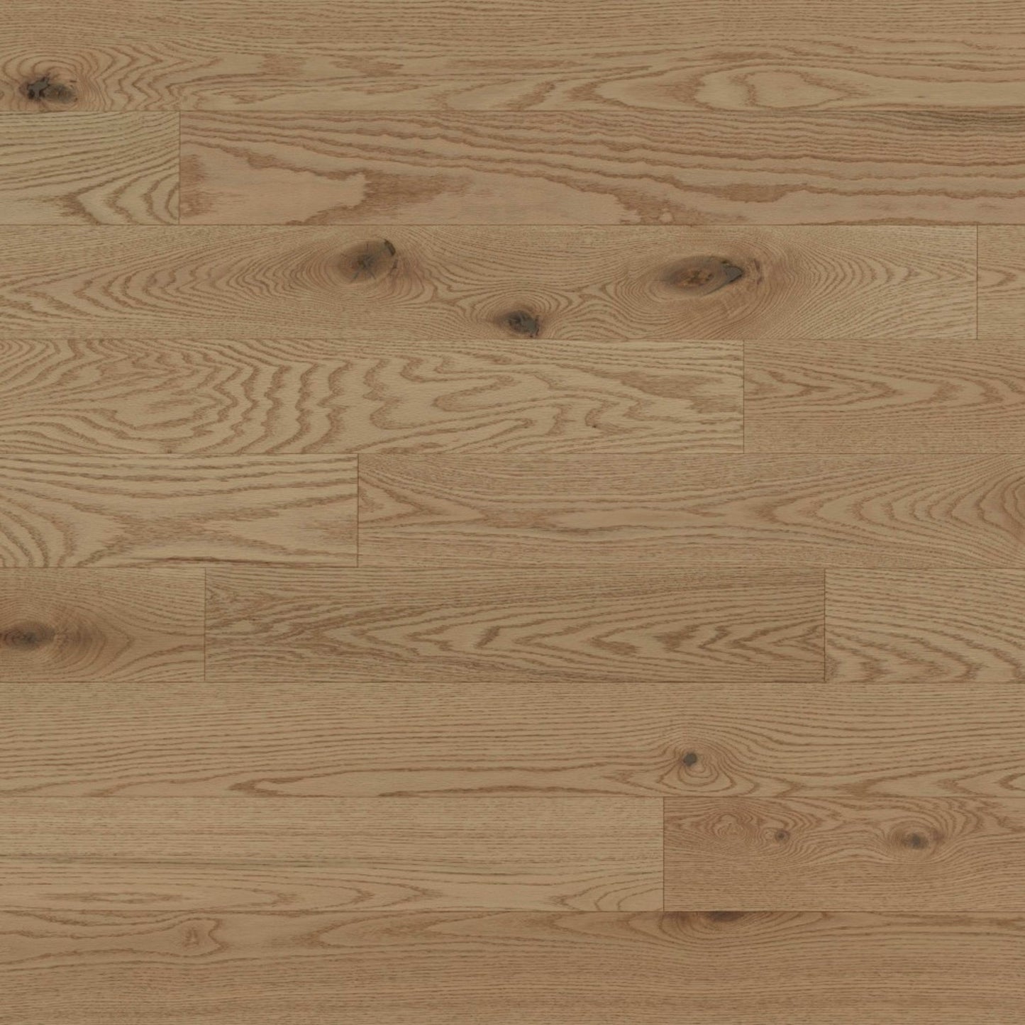 Sweet Memories Engineered - Red Oak Duramatt in Paddle Ball - 6 1/2" Brushed Hardwood