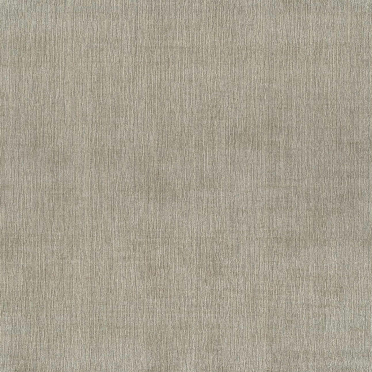 Palermo Lineage II Grey Frost in Grey Frost Area Rugs