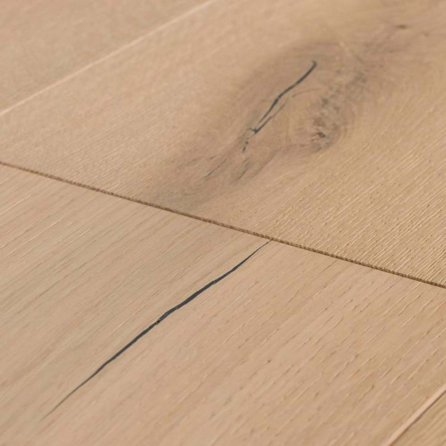 Couture: Katwalk in Paris Hardwood