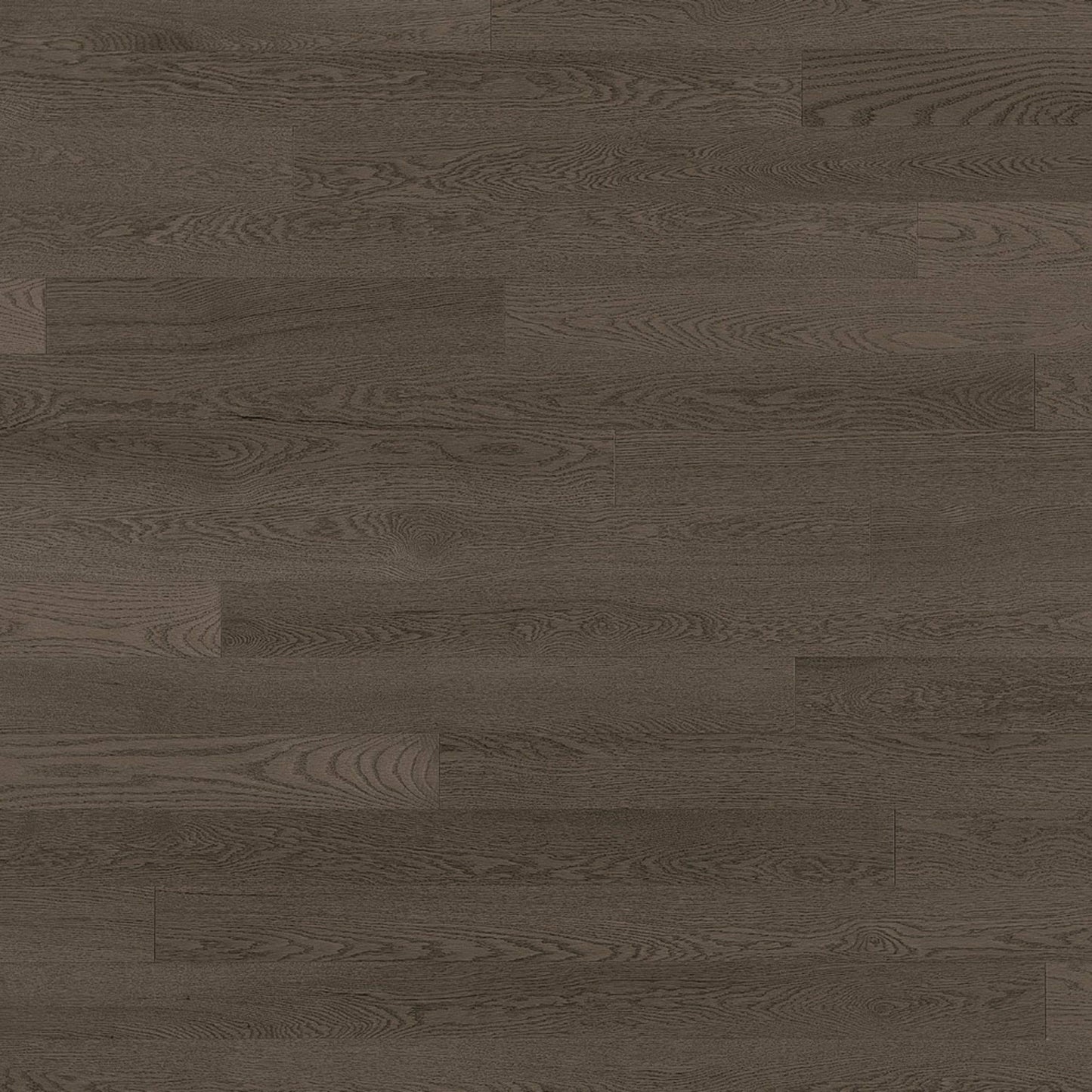 Admiration Engineered - Red Oak in Platinum - 6 1/2" Smooth Hardwood