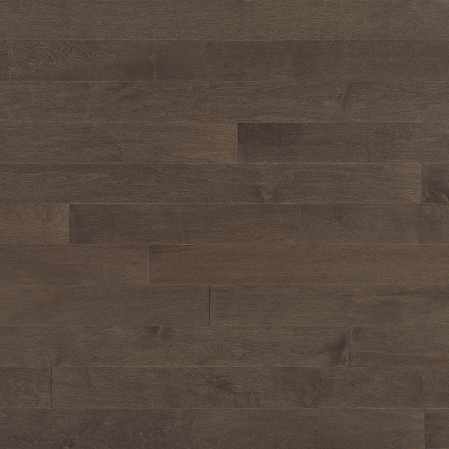 Admiration Engineered - Maple in Platinum - 6" Hardwood