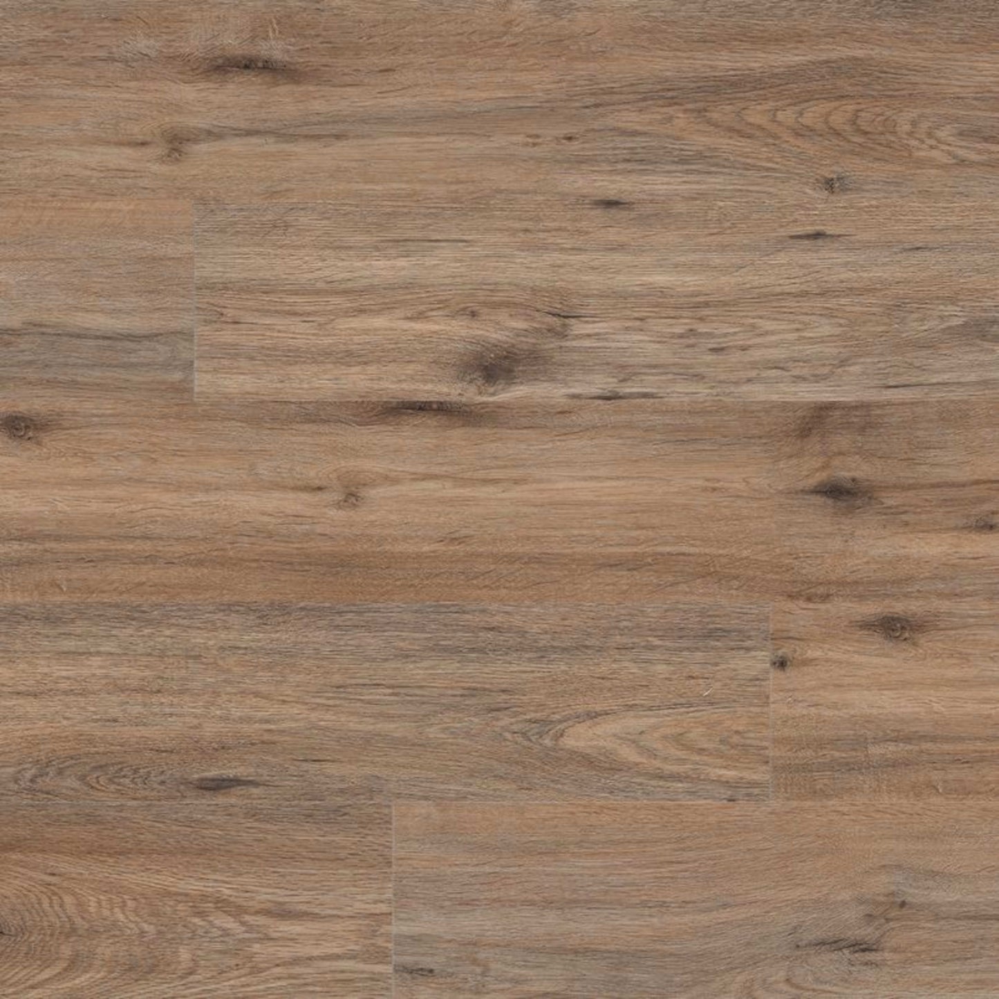Prescott in Fauna Luxury Vinyl