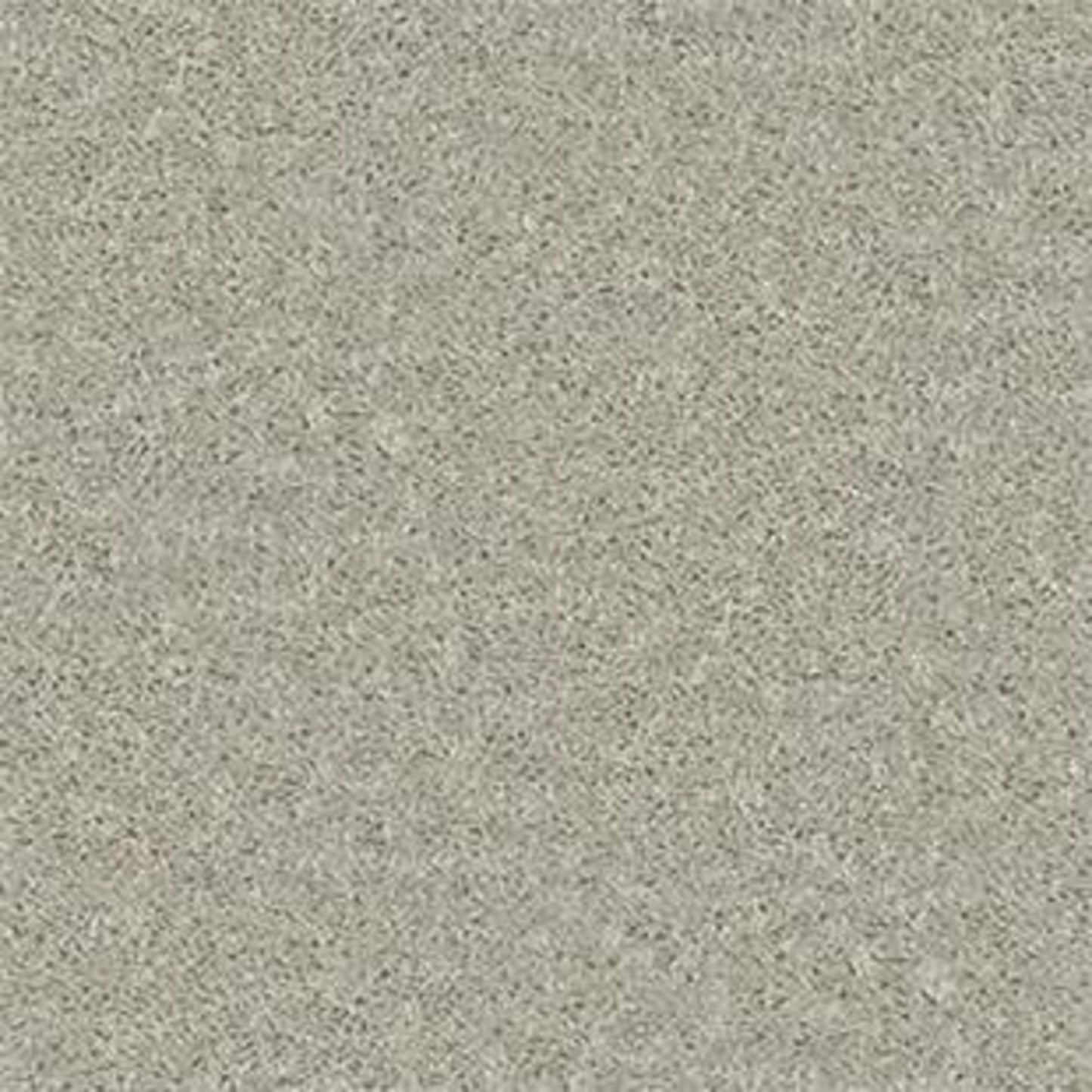 Point Guard 15' in Bare Mineral Carpet