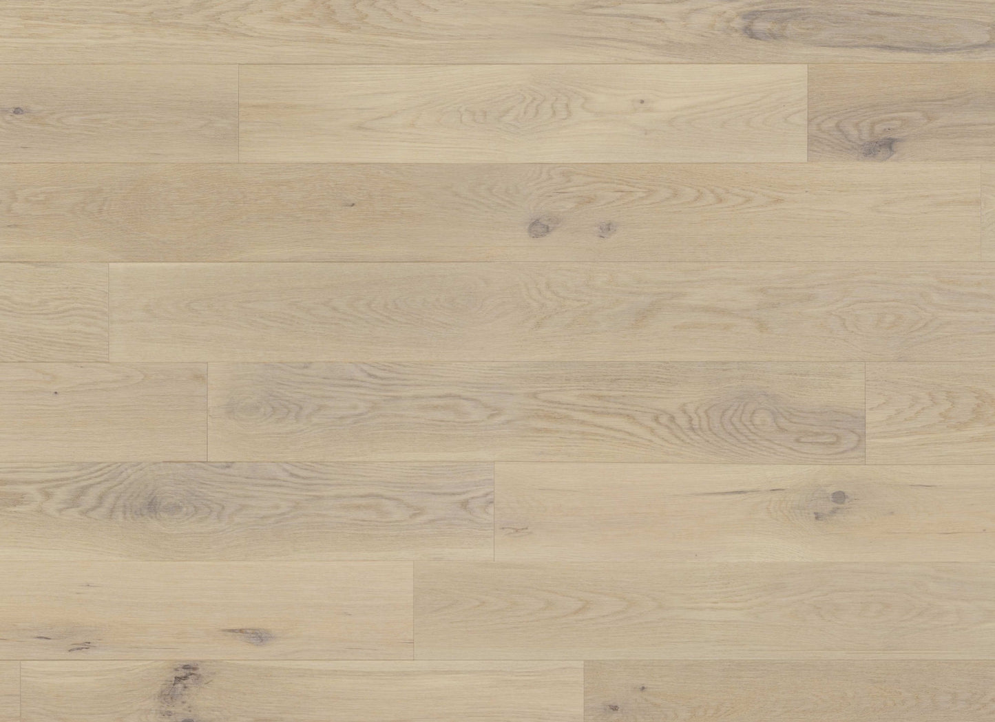 Muse - White Oak in Rachel 5''