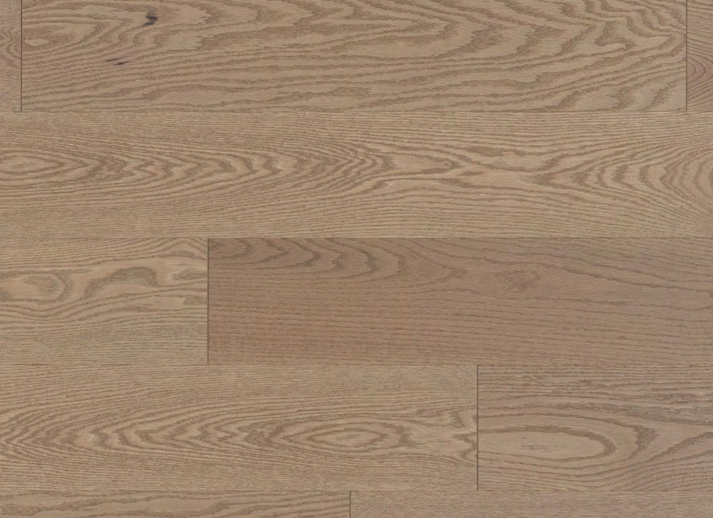 Admiration Engineered - Red Oak in Rio - 6 1/2" Brushed